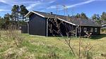 Outdoor - Ferienhaus für 7 Personen (81 m²) - Top-Hundeurlaub