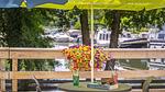 TerraceBalcony - Ferienhaus für 8 Personen (42 m²) - Top-Hundeurlaub