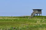 Landschaft - Appartement  Cappel Whg. 18 - Top-Hundeurlaub