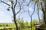 Tholendorf - Top-Hundeurlaub