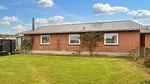 Outdoor - Ferienhaus für 9 Personen (120 m²) in Hvide Sande - Top-Hundeurlaub