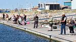 Untagged - Ferienhaus für 9 Personen (120 m²) in Hvide Sande - Top-Hundeurlaub