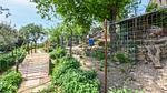 activities - Ferienwohnung für 4 Personen (50 m²) - Top-Hundeurlaub