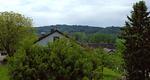 Rose - Top-Hundeurlaub