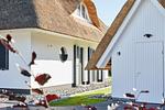 Gartenblick - Ferienhaus Graukranich 41 - Top-Hundeurlaub