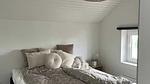 other - Ferienhaus für 6 Personen (120 m²) in Børkop - Top-Hundeurlaub