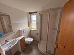 Badezimmer - An der alten Kastanie - Whg B - Top-Hundeurlaub