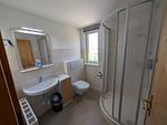 Badezimmer - An der alten Kastanie - Whg B - Top-Hundeurlaub