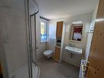 Badezimmer - An der alten Kastanie - Whg C - Top-Hundeurlaub