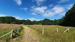 Untagged - Ferienhaus für 8 Personen (106 m²) in Ørsted - Top-Hundeurlaub