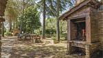 outside - Ferienhaus für 10 Personen (400 m²) in Monte San Savino - Top-Hundeurlaub