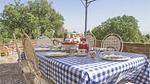 outside - Ferienhaus für 10 Personen (400 m²) in Monte San Savino - Top-Hundeurlaub