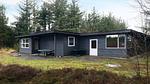 Outdoor - Ferienhaus für 6 Personen (62 m²) in Fjerritslev - Top-Hundeurlaub