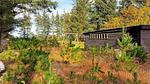 Outdoor - Ferienhaus für 6 Personen (62 m²) in Fjerritslev - Top-Hundeurlaub