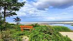 WaterView - Ferienhaus für 7 Personen (62 m²) in Hals - Top-Hundeurlaub