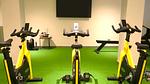 gym - Ferienhaus für 5 Personen (55 m²) - Top-Hundeurlaub
