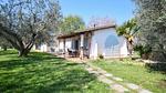 house - Ferienhaus für 4 Personen (50 m²) - Top-Hundeurlaub