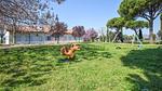house - Ferienhaus für 4 Personen (50 m²) - Top-Hundeurlaub