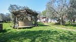 house - Ferienhaus für 4 Personen (50 m²) - Top-Hundeurlaub