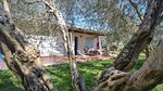 house - Ferienhaus für 4 Personen (50 m²) - Top-Hundeurlaub