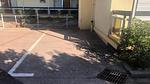 ParkFacilities - Ferienwohnung für 3 Personen (21 m²) in Sainte-Maxime - Top-Hundeurlaub