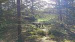 Untagged - Ferienhaus für 6 Personen (82 m²) in Frøstrup - Top-Hundeurlaub