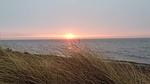 WaterView - Ferienhaus für 6 Personen (82 m²) in Frøstrup - Top-Hundeurlaub