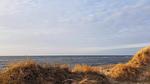 WaterView - Ferienhaus für 6 Personen (82 m²) in Frøstrup - Top-Hundeurlaub