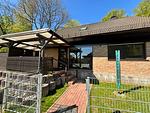 Andrea - Top-Hundeurlaub