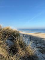 Lütt Haus Andrea - Top-Hundeurlaub