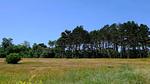 Untagged - Ferienhaus für 5 Personen (60 m²) in Væggerløse - Top-Hundeurlaub