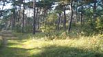 Untagged - Ferienhaus für 5 Personen (60 m²) in Væggerløse - Top-Hundeurlaub