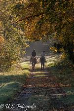 Apartment Lindenplatz - Top-Hundeurlaub