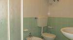 Ferienwohnung für 6 Personen (60 m²) in Porto Santa Margherita - Top-Hundeurlaub