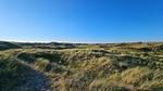 Untagged - Ferienhaus für 6 Personen (70 m²) in Ringkøbing - Top-Hundeurlaub