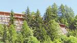 ExteriorSummer - Ferienwohnung für 7 Personen (45 m²) - Top-Hundeurlaub