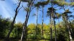 Untagged - Ferienhaus für 9 Personen (105 m²) in Fjerritslev - Top-Hundeurlaub