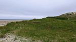 Untagged - Ferienhaus für 7 Personen (70 m²) in Fanø - Top-Hundeurlaub