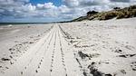 Untagged - Ferienhaus für 19 Personen (300 m²) in Ålbæk - Top-Hundeurlaub
