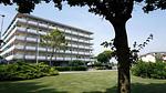 Ferienwohnung für 6 Personen (70 m²) in Porto Santa Margherita - Top-Hundeurlaub