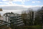 Meerblick - App. 707 inkl. WLAN - Top-Hundeurlaub