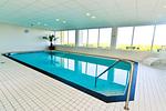 Pool - AS12 - Top-Hundeurlaub