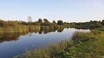 WaterView - Ferienhaus für 9 Personen (110 m²) in Humble - Top-Hundeurlaub