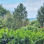 Meerblick - Meerklang - Top-Hundeurlaub