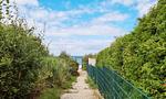 Strand - Meerklang - Top-Hundeurlaub