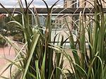 Landschaft - Loft Freonskip Nordsee Park Dangast - Top-Hundeurlaub