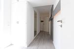 Dekoratives Detail - Atriumhaus 24 b - Top-Hundeurlaub