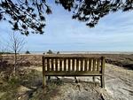 Landschaft - Strandgeflüster - Top-Hundeurlaub