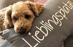 Ferienhaus Hilgenhuus - Top-Hundeurlaub