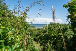 Meerblick - Haus Sundermann - Top-Hundeurlaub